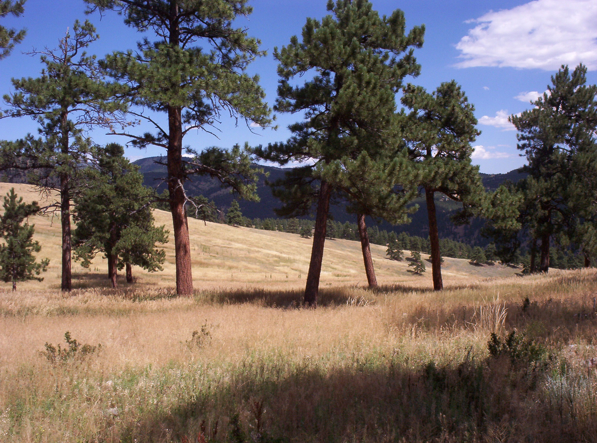 The Betasso Preserve